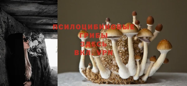 гашик Белая Холуница