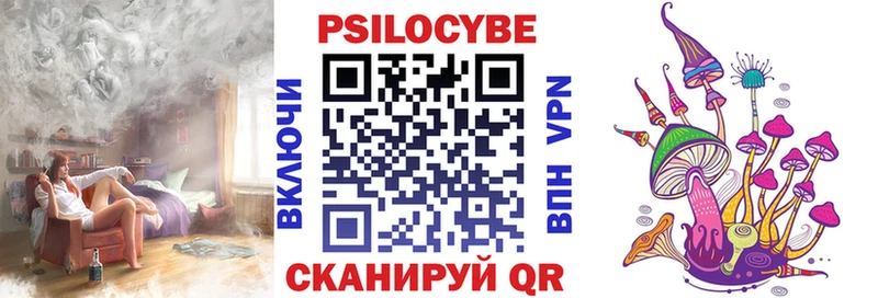 Галлюциногенные грибы Psilocybe Георгиевск