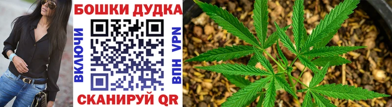 Бошки марихуана THC 21%  Георгиевск 